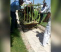 Cele doua turiste injunghiate mortal in Egipt sunt din Germania. "Stai departe, nu vreau egipteni", ar fi strigat atacatorul