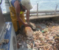 Spaniolii fac haine ecologice din deseuri reciclate din mare: "Castigam bani din pescuit si strans gunoaie din apa"