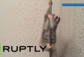 Si animalele pot dansa la ...bara. Imaginile cu un lemur care danseaza la bara fac furori pe internet