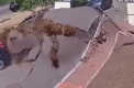 O conducta a explodat la Kiev. Jetul de apa inalt cat un bloc de sase etaje a lasat in urma un crater cu diametrul de 20 de metri - VIDEO