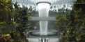 Cascada inalta de 40 de metri in interiorul aeroportului din Singapore - VIDEO