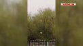 Mijlocul primaverii a adus ninsori. La Falesti, Edinet si Leova au cazut fulgi mascati, spre surprinderea localnicilor. Cand se incalzeste vremea - VIDEO