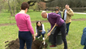 Zeci de copaci de magnolie, de diferite soiuri, au fost plantati astazi in la Gradina Botanica. O parte au fost donati, iar altii - cumparati de vizitatori. Cei care au sadit pomii s-au ales cu o cafea si o prajitura gratis din partea organizatorilor - VIDEO

