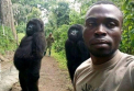 Selfie-ul cu gorile devenit viral pe retelele sociale. Cum au pozat animalele - FOTO