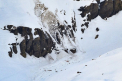Patru alpinisti germani au murit intr-o avalansa, in Elvetia