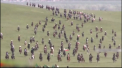 Un festival demn de un record mondial a adunat multa lume in Cecenia. Titlul a fost oferit pentru cel mai mare numar de calareti care au participat la manifestatie. Imbracati in haine nationale, in frunte cu Ramzan Kadyrov, cecenii au strabatut kilometri intregi prin munti - VIDEO