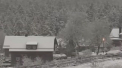 S-a intors iarna in Germania. In unele regiuni, mai ales in cele montane, s-a asezat un strat de zapada de 20 de centimetri - VIDEO