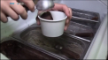 Cum ar fi sa mancati inghetata cu... larve de muste? Un asemenea desert deja a fost scos la vanzare de un producator din Africa de Sud, care vrea sa ajunga pe piata europeana si cea americana - VIDEO