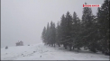 Tablou de iarna in muntii din Romania. In unele regiuni a nins abundent, iar zapada s-a depus intr-un strat de 30 de centimetri - VIDEO