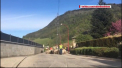 O turma de oi a fost inscrisa, simbolic, la o scoala din Franta. Animalele au fost manate in curtea institutiei in semn de protest dupa ce autoritatile au anuntat ca vor sa inchida o clasa din cauza lipsei de elevi - VIDEO