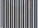 Poti observa animalul ascuns in imagine? Iluzie optica surprinzatoare