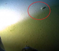 Descoperirea alarmanta facuta de un explorator in cel mai adanc loc de pe Pamant - VIDEO