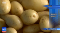 Preturile la cartofi au crescut din cauza conditiilor climaterice care i-au determinat pe producatorii moldoveni sa reduca plantatiile. Crescatorii se plang ca statul nu ii sustine, ci favorizeaza importul de cartofi - VIDEO