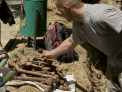 Osemintele gasite in parcul Valea Morilor ar apartine unor militari, de pe vremea celui de-al doilea razboi mondial - VIDEO