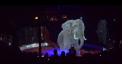 Circul care a renuntat la animale. Publicul a amutit cand a vazut cu ce se umple scena
