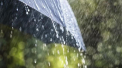 Maxime de pana la 30 de grade cu precipitatii se asteapta in capitala. Ce temperaturi vom avea in urmatoarele zile - FOTO