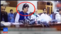 Un politician din Pakistan a fost vazut la o conferinta cu urechi roz si mustati de pisica. S-a intamplat, dupa ce unul dintre colegii sai a activat din greseala filtrul „pisica”, in timpul unei transmisiuni live - VIDEO