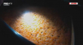 Pe piata americana ar putea aparea somon modificat genetic. Pestelui obisnuit i s-a adaugat ADN-ul altor specii astfel incat creatura de ocean sa creasca de doua ori mai repede - VIDEO