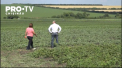Doi fermieri din Drochia cresc legume ecologice. Rosiile, castravetii si ardeii plantati de ei sunt tratati cu amoniac eco, ardei iute macerat si infuzie de mustar cu otet. Cum le-a venit ideea - VIDEO