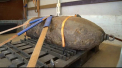 Evacuare de proportii dupa descoperirea unei bombe de 500 kg. Oamenii, dusi in adaposturi - GALERIE FOTO