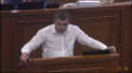 Replica acida a lui Lilian Carp, dupa discursul Marinei Tauber: „Cine v-a dat dreptul sa bagati mana si sa scoateti aproape un miliard de dolari? Si voi spuneti ca veniti sa aparati drepturile oamenilor? Afara, hotilor! La puscarie!” - VIDEO