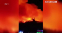 Un incendiu major a intrerupt distractia participantilor la un festival de muzica desfasurat pe o plaja din Croatia. 10 mii de persoane, evacuate - VIDEO