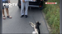 Explicatiile preotului din Anenii Noi care a starnit un val de nemultumiri, dupa ce a legat cu un lant un caine de masina sa: „Tragedie mare. Trebuie sa-mi multumeasca ca asigur siguranta copiilor” - VIDEO 