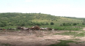 Problema gunoistei de la Tantareni va fi solutionata, doar nu se stie cand. In toamna, ar putea incepe constructia statiei de tratare a levigatului - VIDEO
