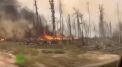 Doar 30 din cele trei sute de focare de incendii, care mistuie paduri din Siberia, au fost stinse pana in prezent. In lupta cu flacarile au fost mobilizate avioane militare - VIDEO