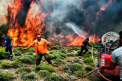 Cod rosu de risc de incendii in Grecia. Temperaturi de peste 40 de grade