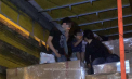 Familii de irakieni, aduse in Romania in cutii de carton. Unde voiau de fapt sa ajunga - VIDEO