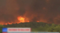 In Grecia incendiile nu mai contenesc. Pentru a doua oara in aceasta vara, insula Evia este din nou in flacari. Trei sate au fost evacuate, iar focul continua sa se extinda - VIDEO