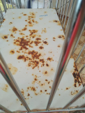 Paturi ruginite, saltele vechi si carpite, cearsafuri in loc de draperii si gandaci peste tot, pana si in bucatarie. Prin ce a trecut o mama care a mers sa-si duca copilul bolnav la Centrul Mamei si al Copilului din capitala: „Cosmar! Aici chiar e ingrozitor” - FOTO/VIDEO