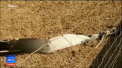 Tragedie aviatica pe insula Mallorca din Spania. Sapte oameni, dintre care doi copii, si-au pierdut viata, dupa ce un elicopter s-a ciocnit cu un avion de mici dimensiuni - VIDEO