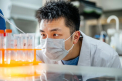 Medicament pe baza de plante cu o vechime de 2.000 de ani descoperit in China