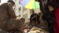 Unul dintre cele mai mari orase din lume, invadat de roiuri uriase de muste. “Traim in iad”