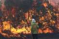 Grave incendii de vegetatie in Australia. Zeci de case au fost mistuite - VIDEO