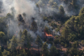 Pompierii se lupta sa stinga un puternic incendiu de padure izbucnit langa Atena