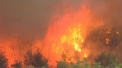 Incendii puternice pe insula Zakynthos: sute de oameni au fost evacuati
