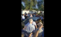 Ultima ora! La scurt timp dupa ce a ramas fara imunitate, Marina Tauber si Reghina Apostolova au fost retinute la Orhei - VIDEO