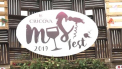 Pe 14 septembrie Combinatul de vinuri „Cricova” a desfasurat cel mai vesel si plin de traditie festival - Must Fest 2019 - VIDEO