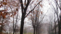 Toamna isi intra in drepturi. Se asteapta ploi in nordul tarii, iar in capitala vom avea maxime de 24 de grade. Cum va fi vremea in toata tara. Prognoza meteo - FOTO