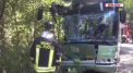 Un autobuz plin cu pasageri a iesit de pe carosabil si a ajuns intr-un copac, in Italia. 30 de copii, care se aflau in vehicul, au fost raniti - VIDEO