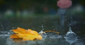 Se prevad ploi in nordul tarii. Ce temperaturi vom avea astazi in capitala, dar si in urmatoarele zile, in toata tara. Prognoza meteo- FOTO