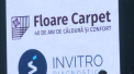 Concert aniversat PROTV Chisinau alaturi de partenerii Floare Carpet si Invitro Diagnostics - VIDEO