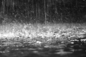 Ploile nu contenesc nici astazi. Ce temperaturi vom avea in capitala, dar si in toate regiunile tarii. Prognoza meteo - FOTO