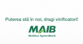 MAIB sustine vinificatorii tarii si felicita clientii cu ocazia Zilei Nationale a Vinului 2019 - VIDEO