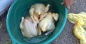 Afacerea vopsirii gainilor ca sa para ca sunt ”de tara”. Cat de periculoasa poate fi carnea - VIDEO