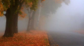 Codul galben de ceata ramane in vigoare. Ce temperaturi vom avea astazi in capitala, dar si in celelalte regiuni ale tarii. Prognoza meteo - FOTO