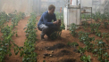 Agricultura in spatiu. Solul de pe Marte si de pe Luna se dovedeste a fi fertil